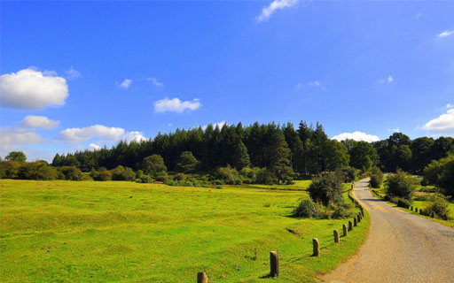 Photo of a country walk