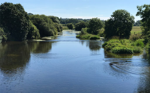 Photo of a river