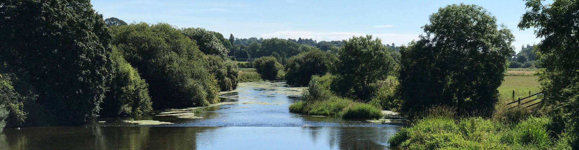 Photo of a river